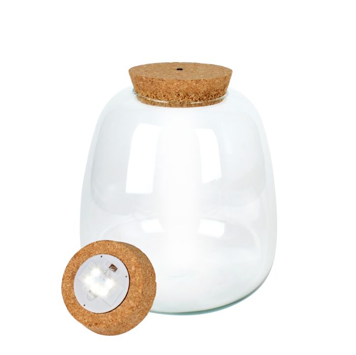 Plant Puzzle Glass with LED