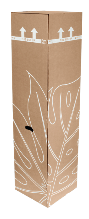 Shipping Box 174cm Mix&Match