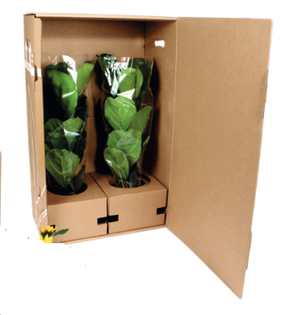 Shipping Box 65cm Double Mix&Match