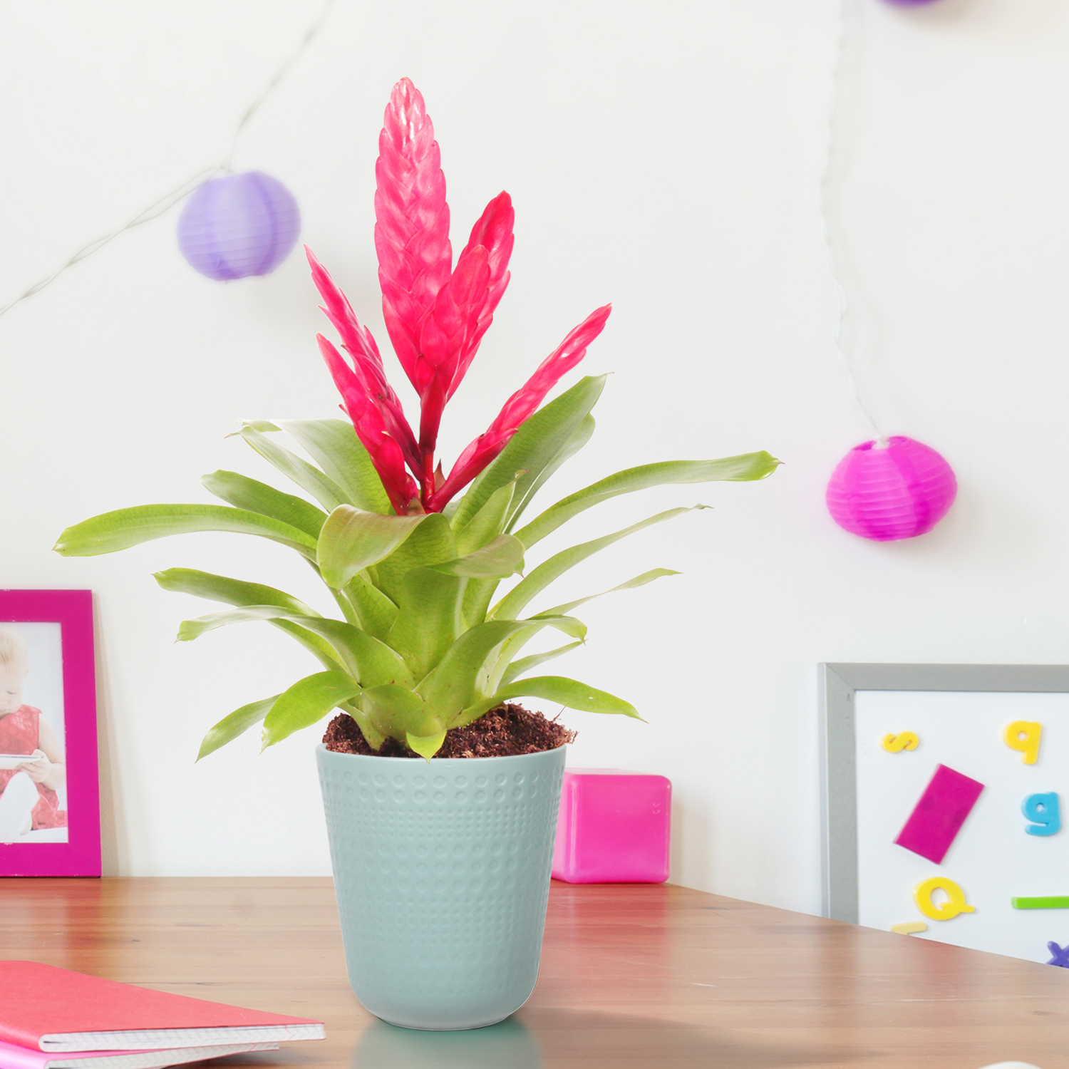 Título de una noticia 3